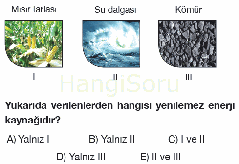 Soru 7