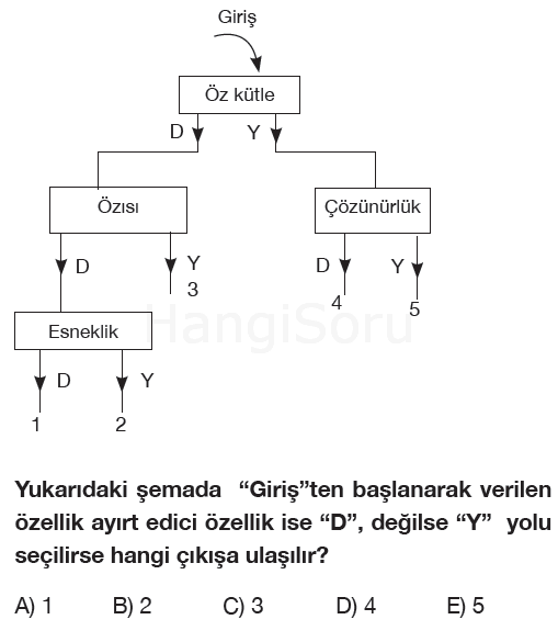 Soru 1
