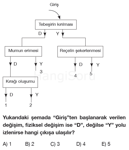 Soru 6
