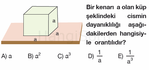 Soru 1