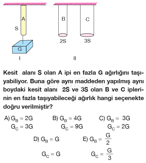 Soru 8