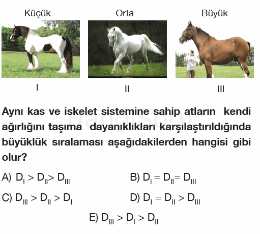 Soru 10