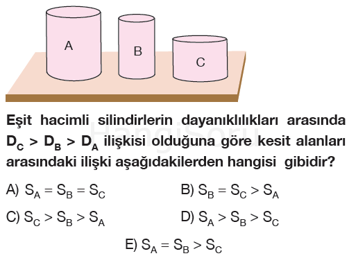 Soru 1