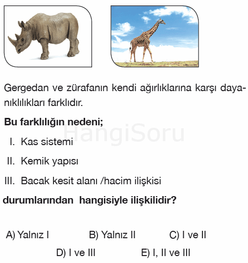 Soru 8