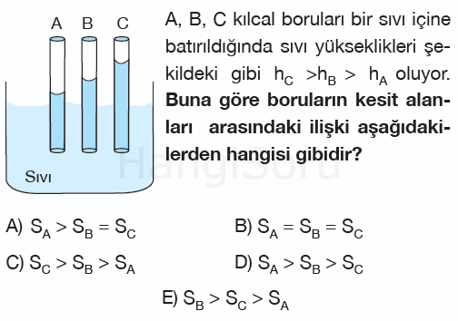 Soru 2