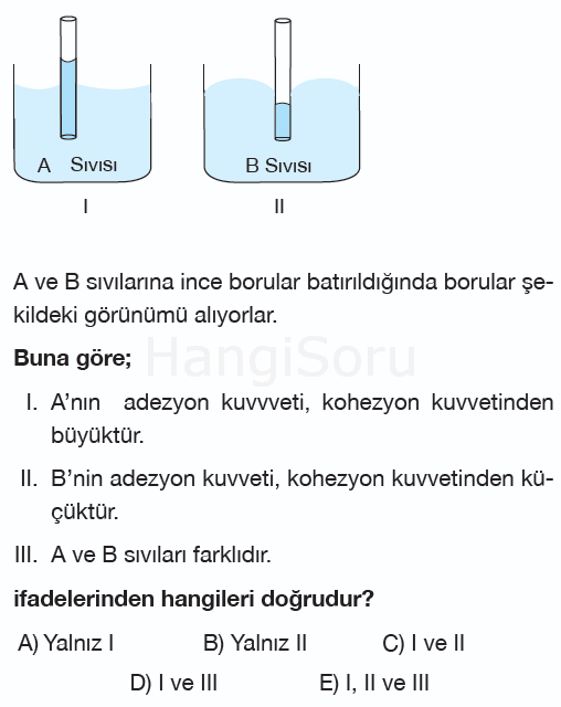Soru 5