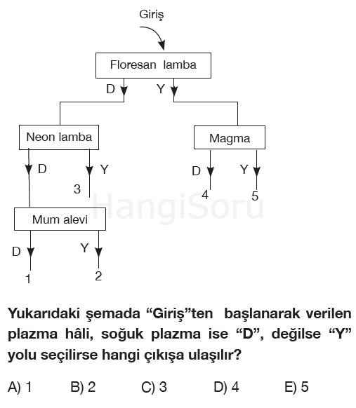 Soru 6