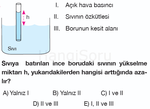 Soru 10