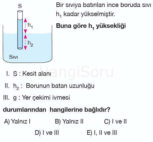 Soru 1