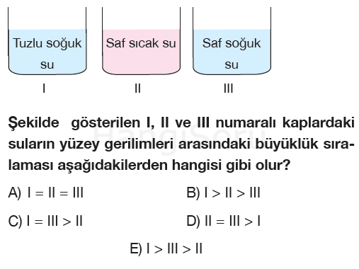 Soru 3