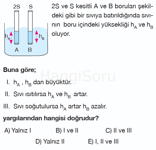 Soru 5