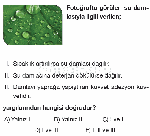 Soru 6