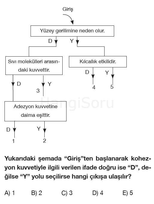 Soru 6