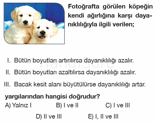 Soru 7