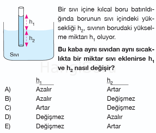 Soru 8