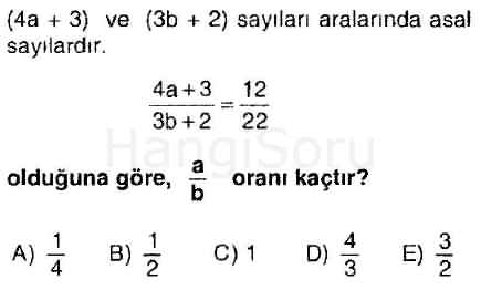 Soru 13