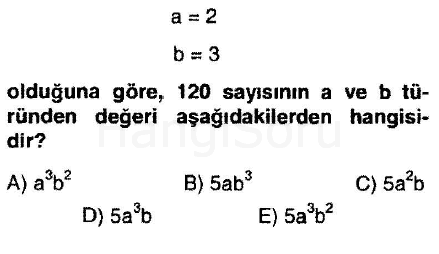 Soru 19