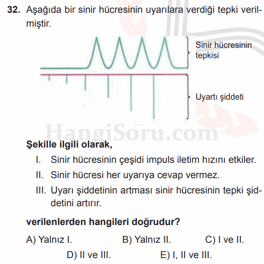Soru 32