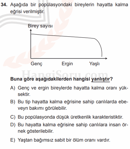 Soru 34