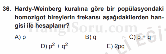 Soru 36