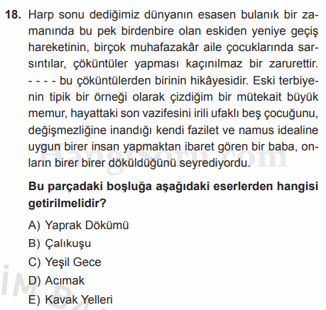 Soru 18