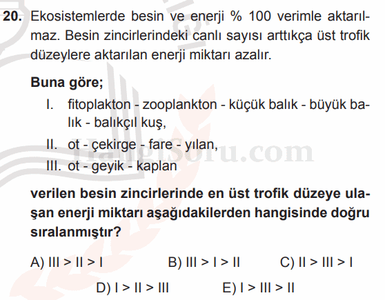 Soru 20