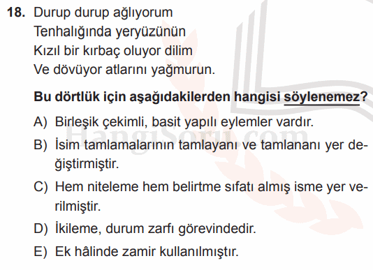 Soru 18
