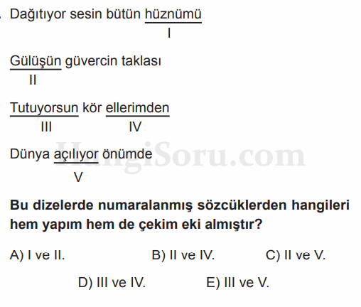 Soru 19