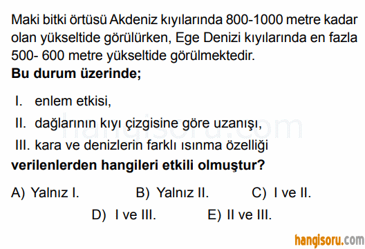 Soru 2