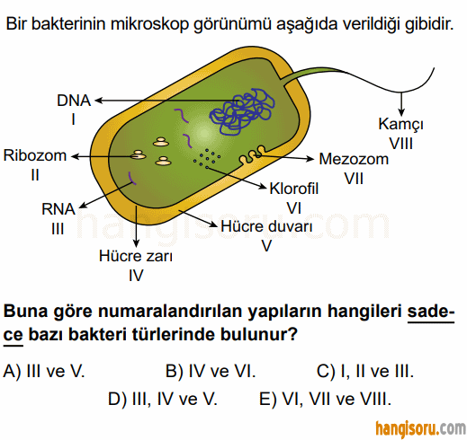 Soru 2