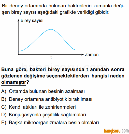 Soru 5