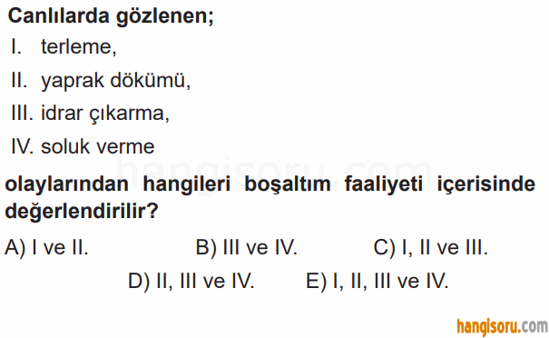 Soru 1