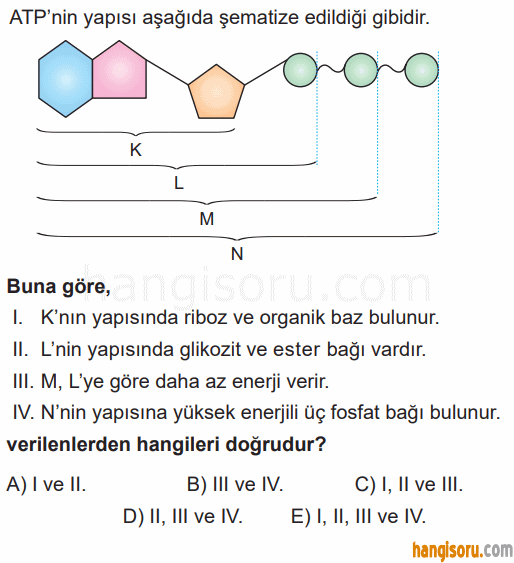 Soru 1