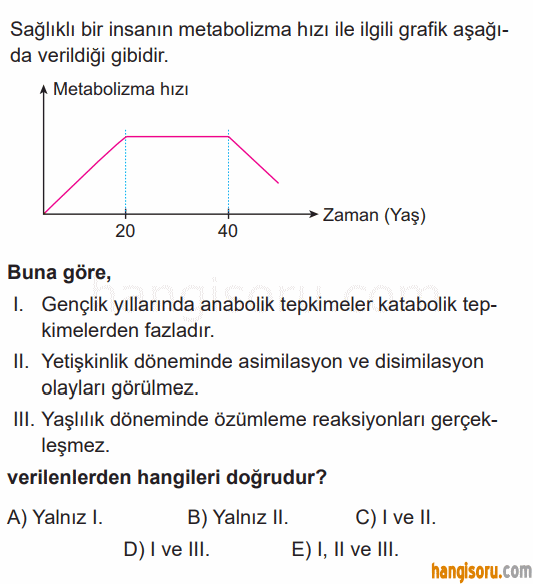 Soru 11