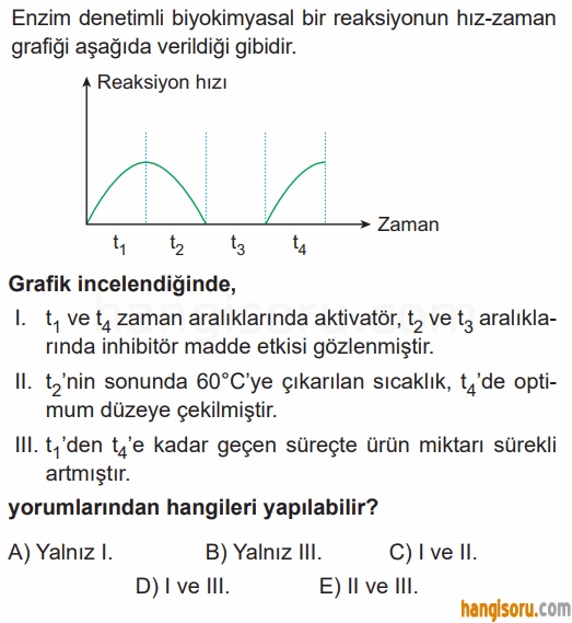 Soru 1