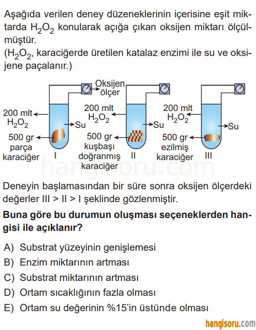 Soru 2