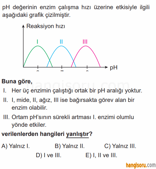 Soru 5