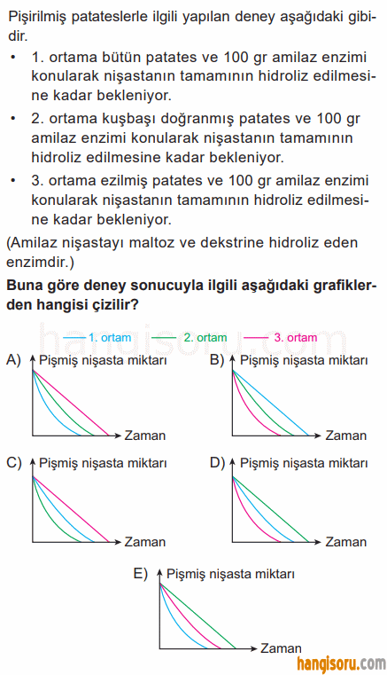 Soru 7
