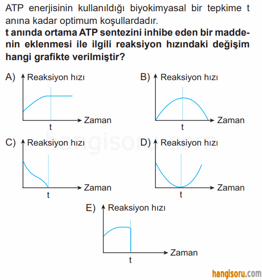 Soru 8