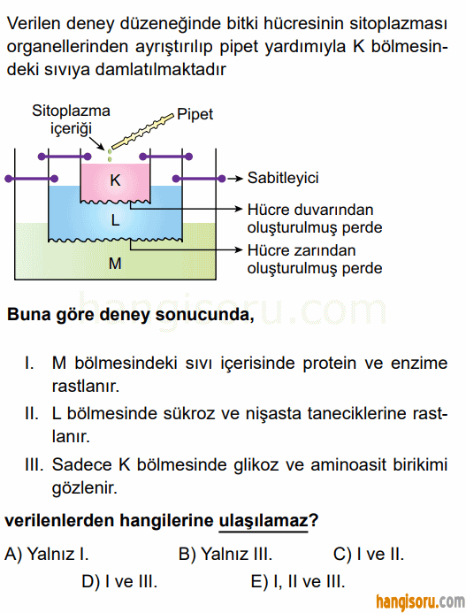 Soru 5
