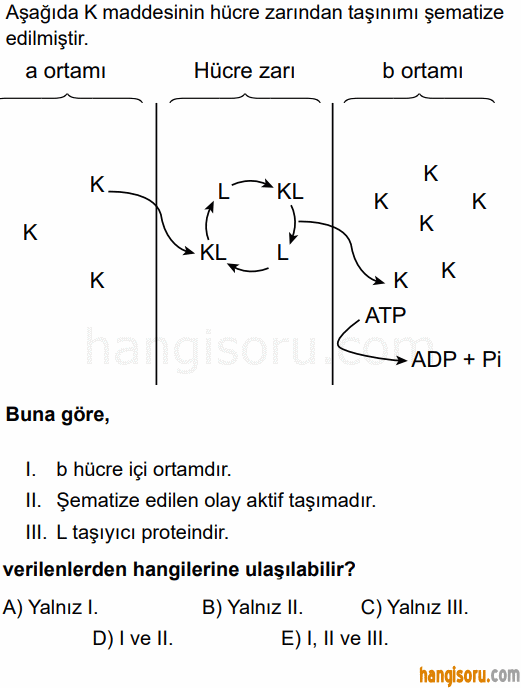 Soru 6