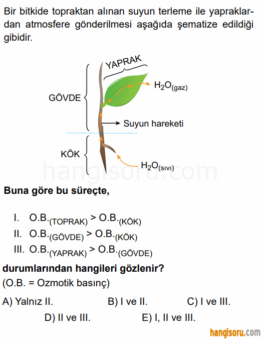 Soru 7