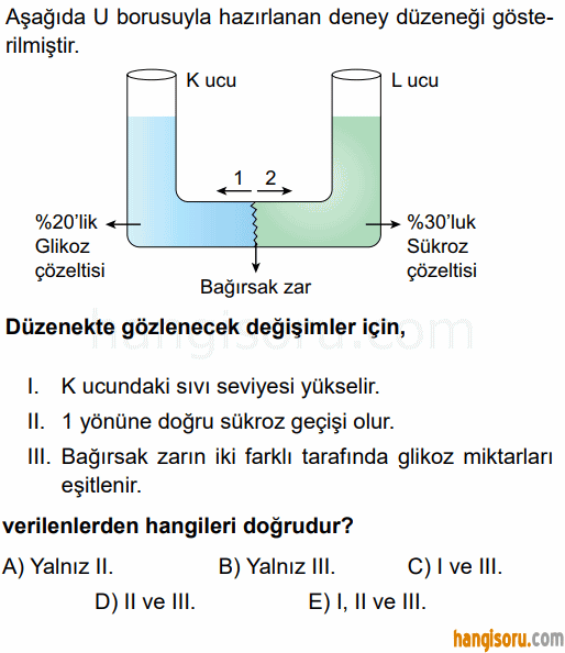 Soru 4