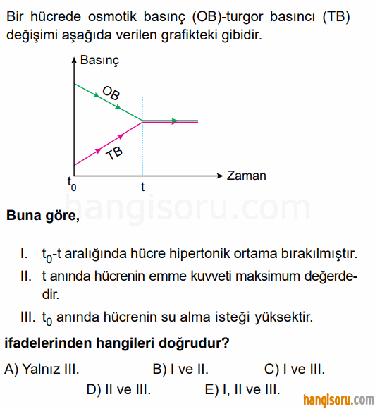 Soru 6