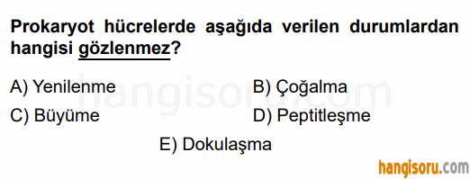 Soru 2