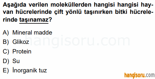 Soru 3