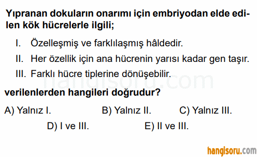 Soru 6
