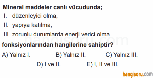 Soru 1