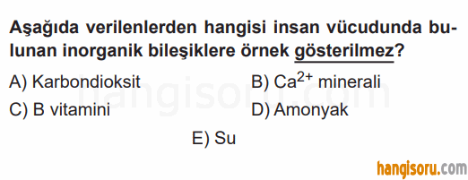 Soru 3