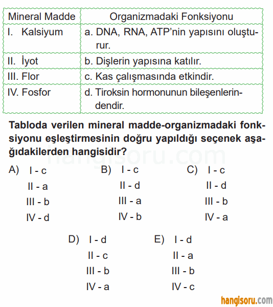 Soru 5